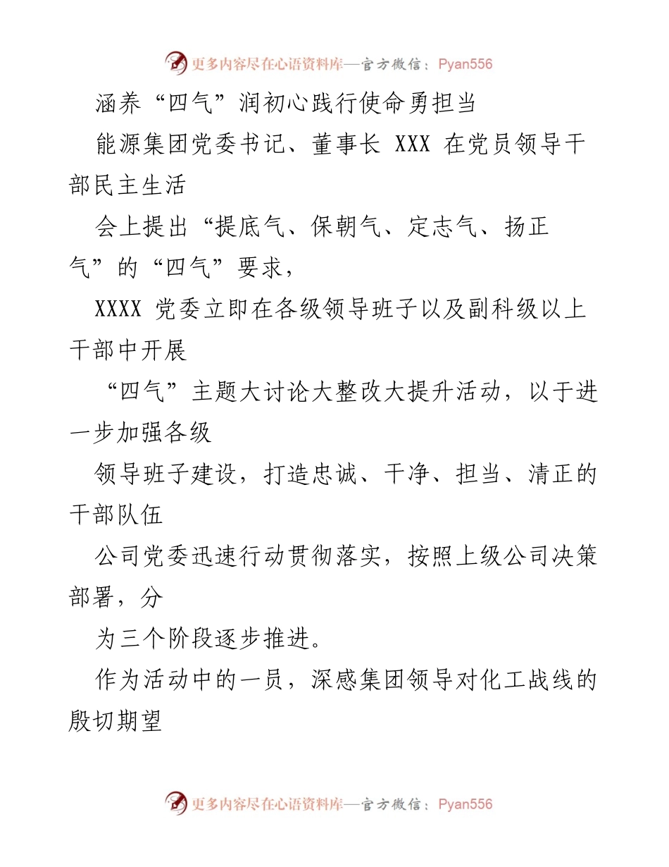 [发言] 党员领导干部民主生活会 - 加强“四气”建设，推动化工产业高质量发展.docx_第1页