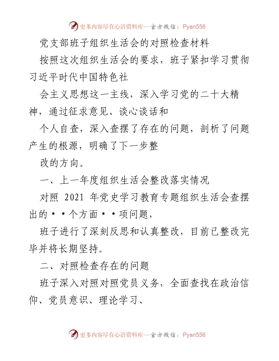 [发言] 党支部组织生活会 - 党支部班子对照检查与整改落实情况总结.docx_第1页