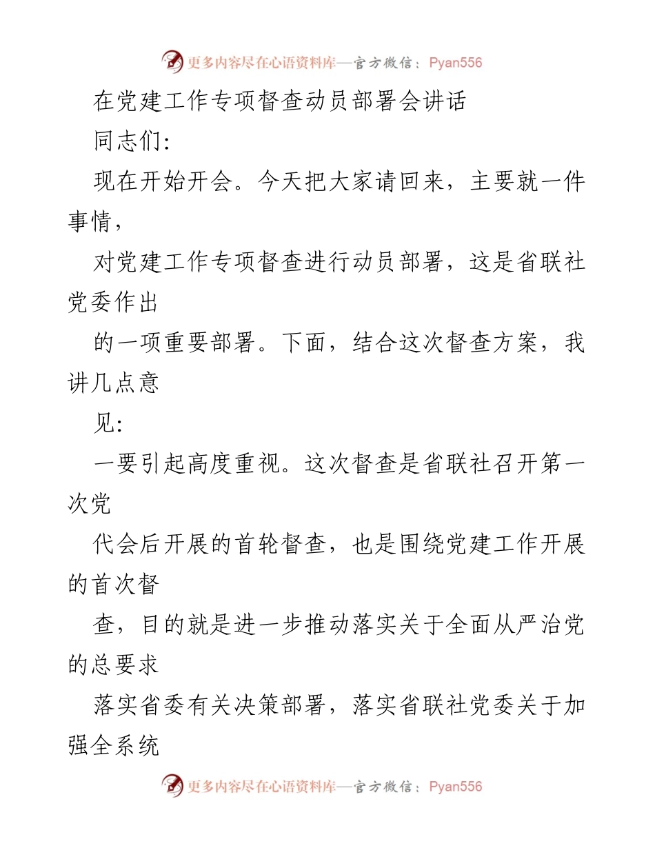 [发言] 党建工作专项督查动员部署会 - 强化党建督查，推动全面从严治党.docx_第1页