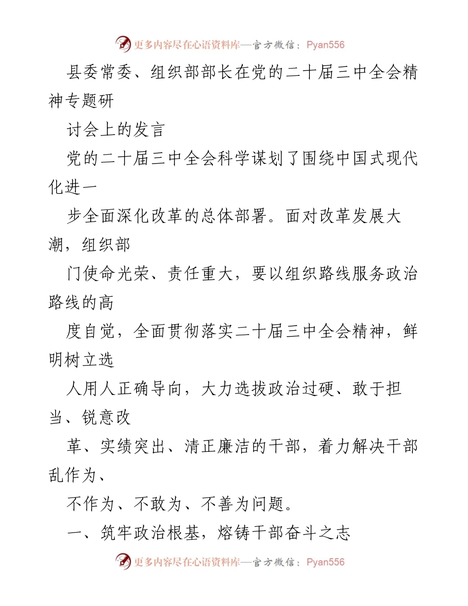 [发言] 党的二十届三中全会精神专题研讨会 - 加强干部选拔，服务中国式现代化.docx_第1页