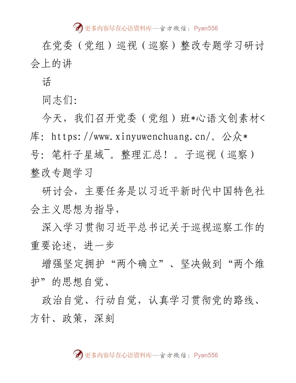 [发言] 党委（党组）巡视整改专题学习研讨会 - 深入学习巡视整改工作，推动政治自觉与责任落实.docx_第1页