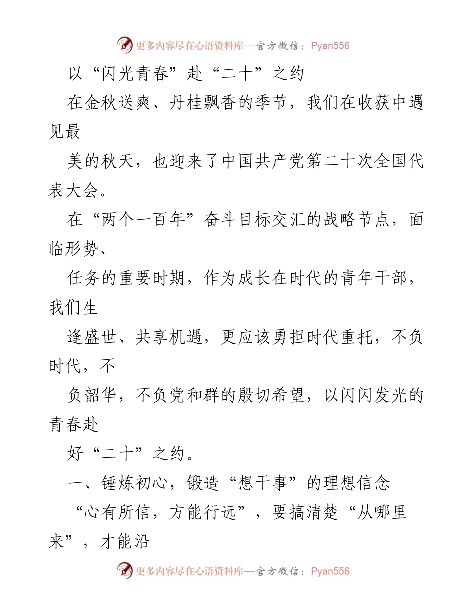 [发言] 党的二十大青年干部动员大会 - 青年干部以“闪光青春”迎接党的二十大.docx_第1页