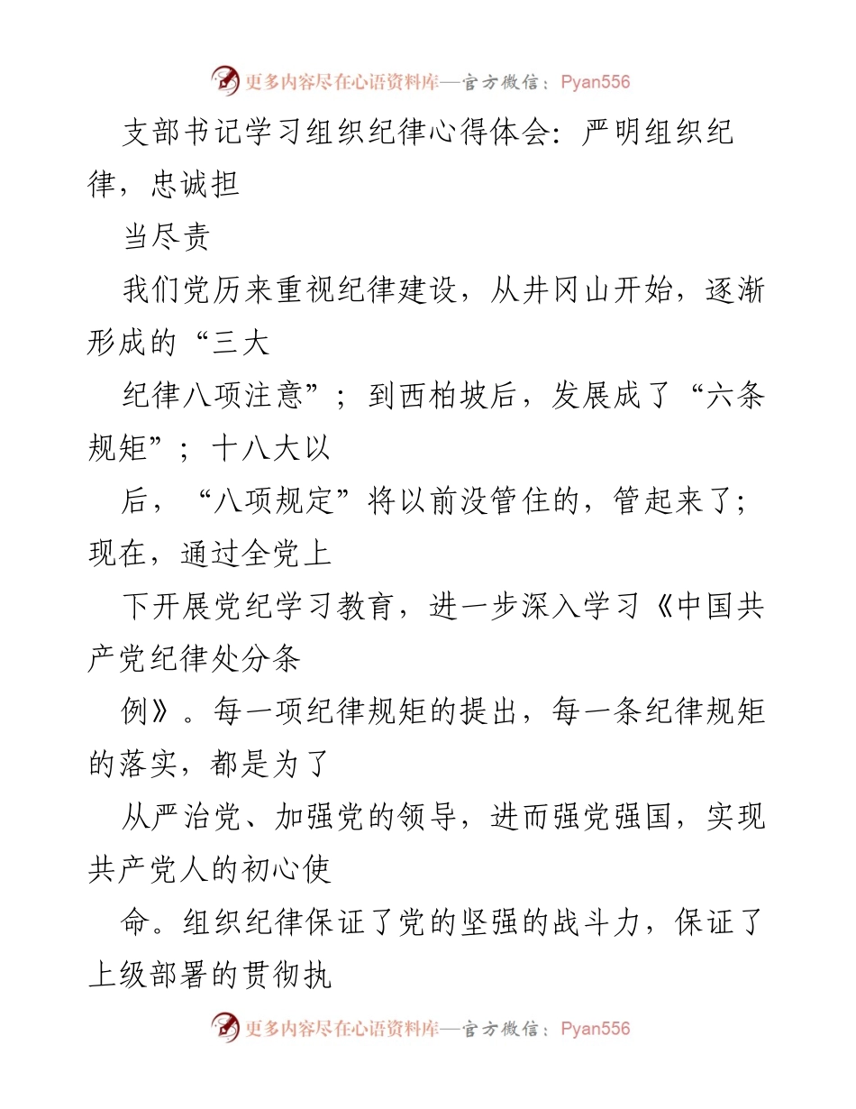 [发言] 党支部会议 - 严明组织纪律，忠诚担当尽责的心得体会.docx_第1页
