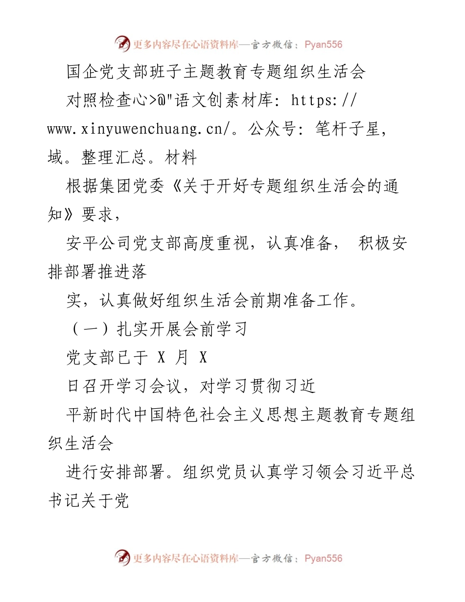 [发言] 党支部组织生活会 - 国企党支部主题教育专题组织生活会对照检查材料分析.docx_第1页