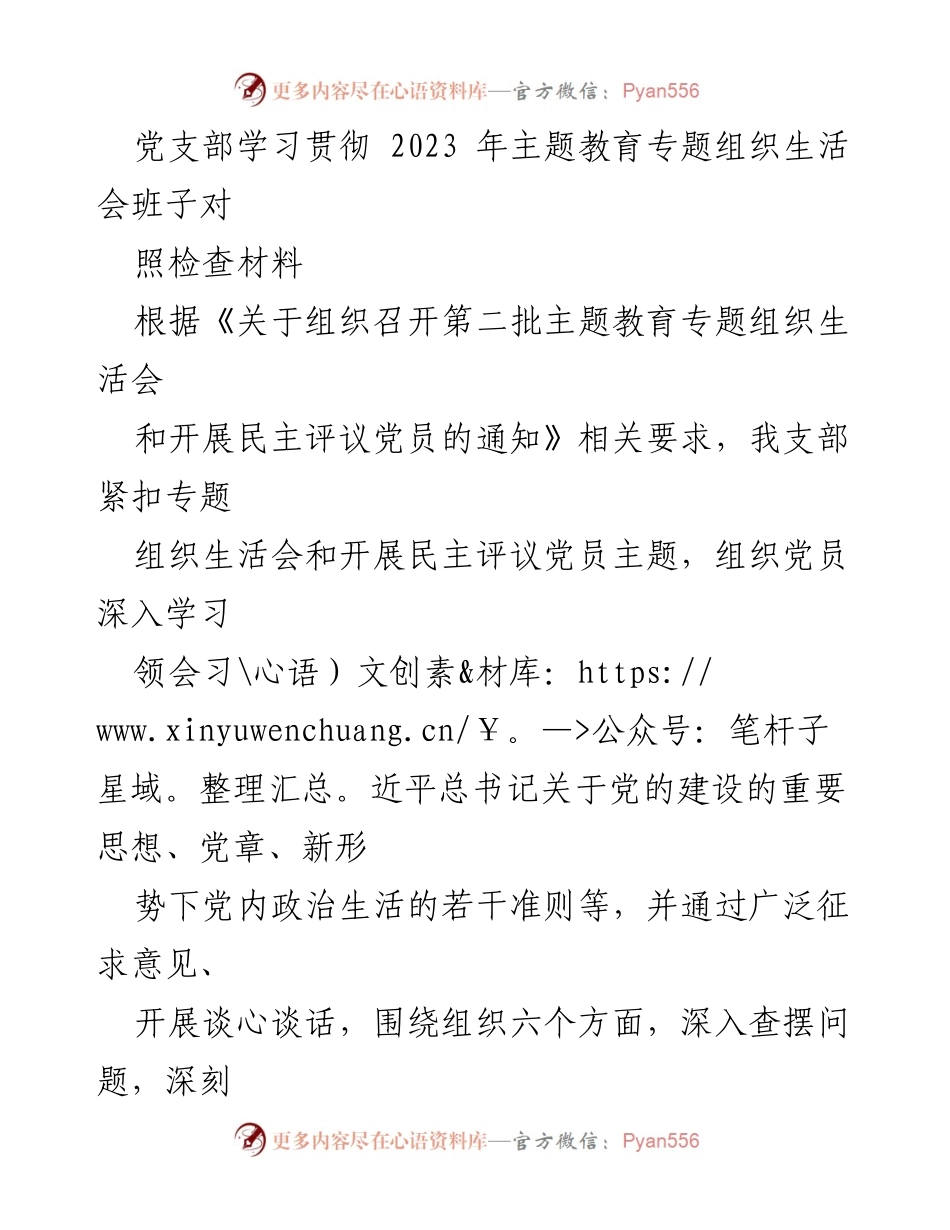 [发言] 党支部专题组织生活会 - 党支部对照检查材料及问题剖析报告.docx_第1页