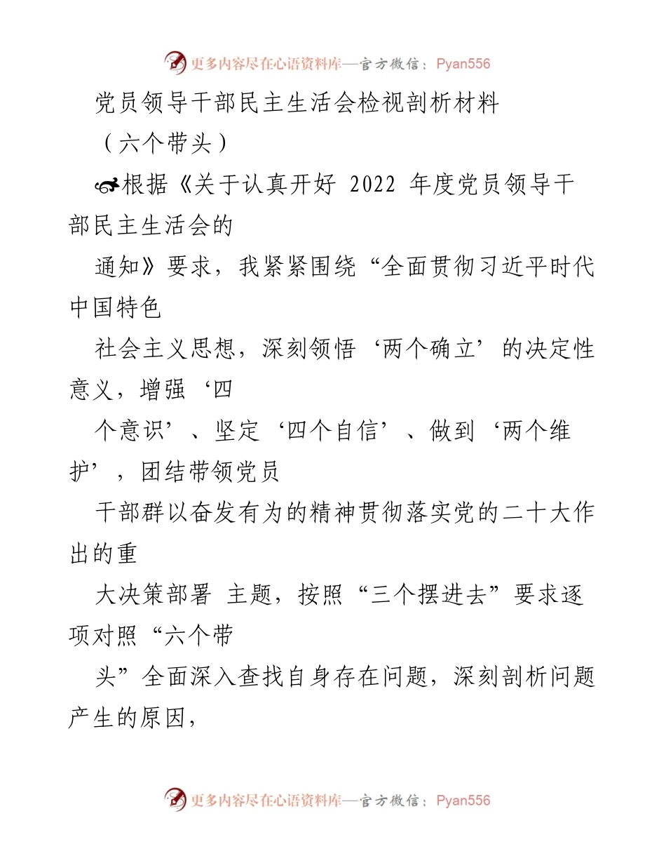 [发言] 党员领导干部民主生活会 - 党员领导干部民主生活会检视剖析与整改措施.docx_第1页