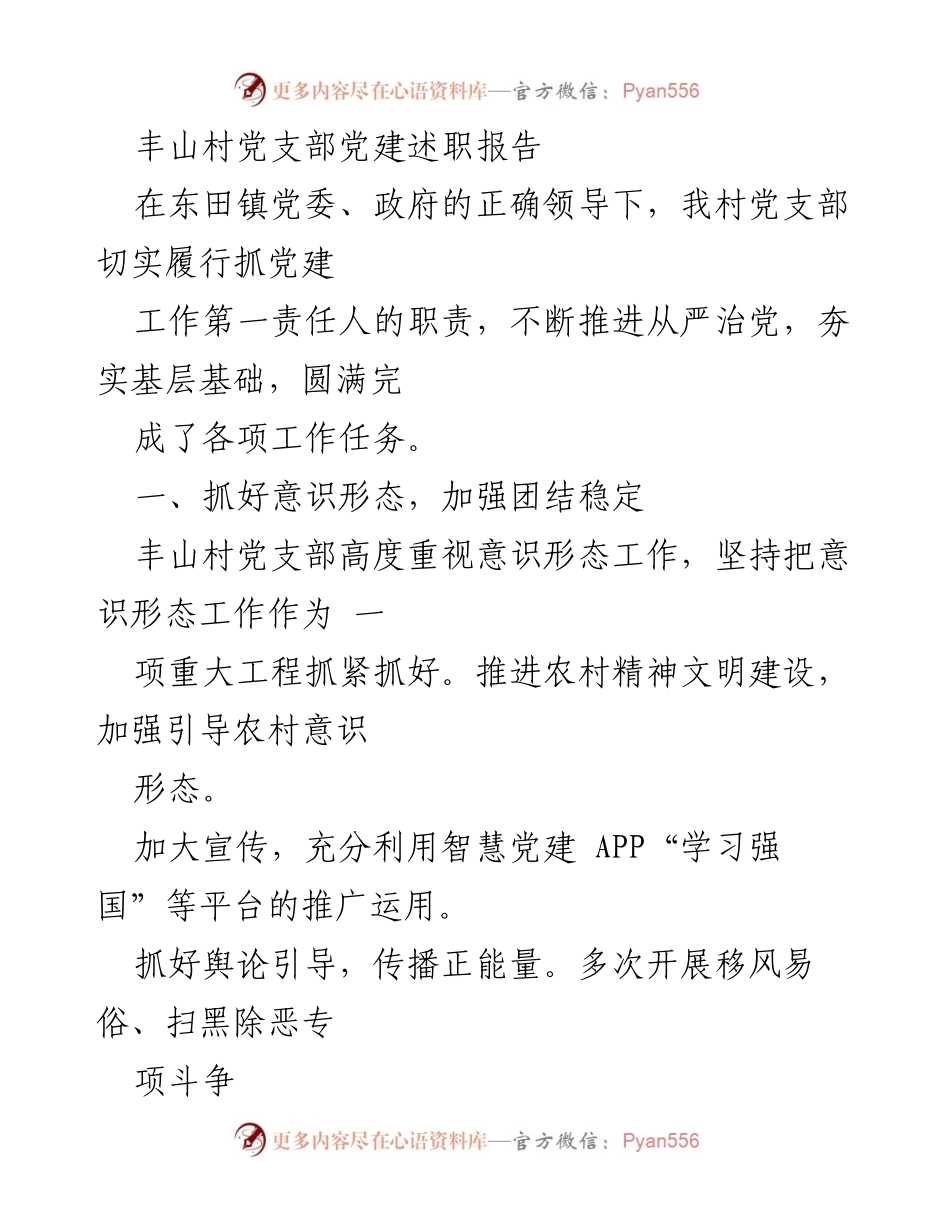 [发言] 党建述职会议 - 丰山村党支部党建述职报告总结与反思.docx_第1页