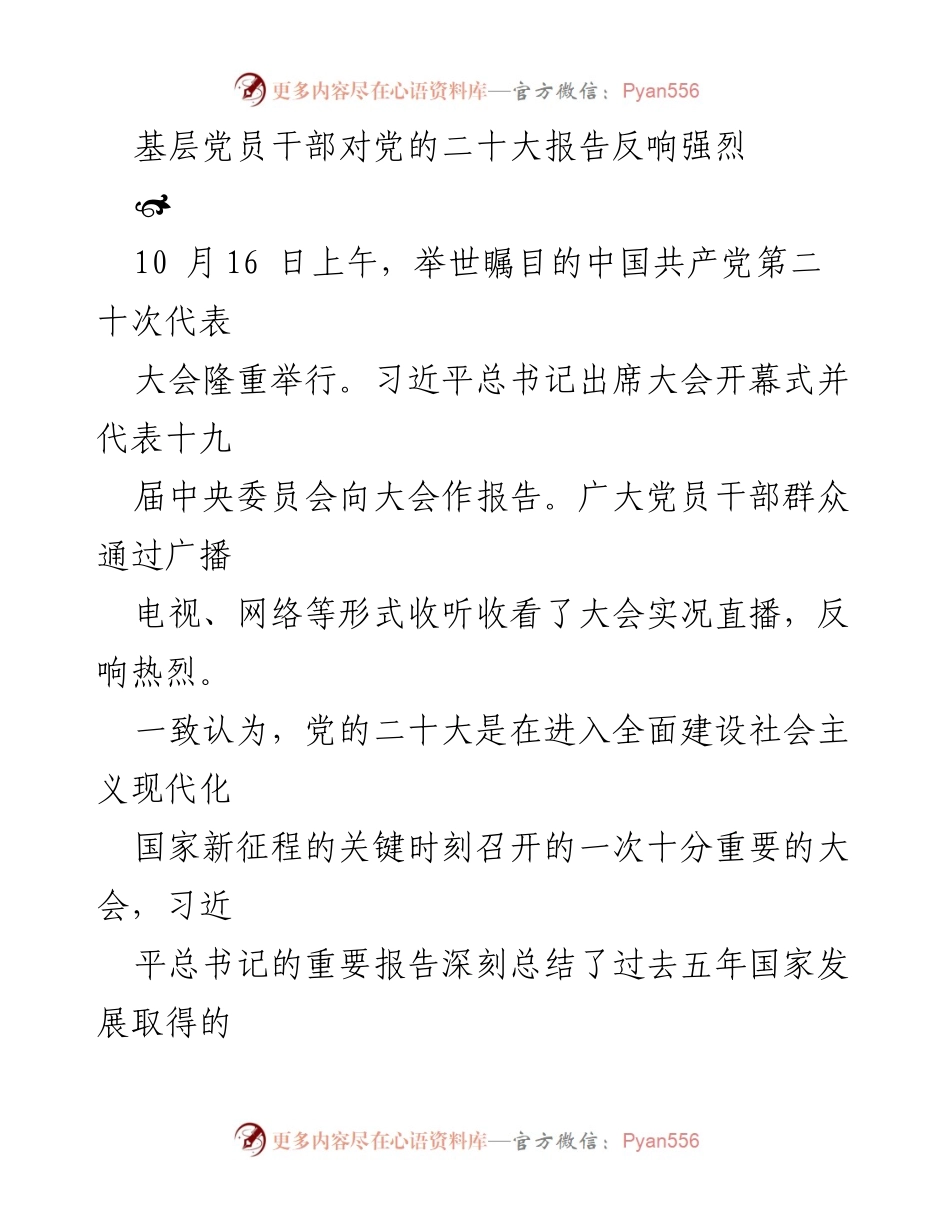 [发言] 党的二十大报告学习会议 - 基层党员干部热议党的二十大报告精神.docx_第1页