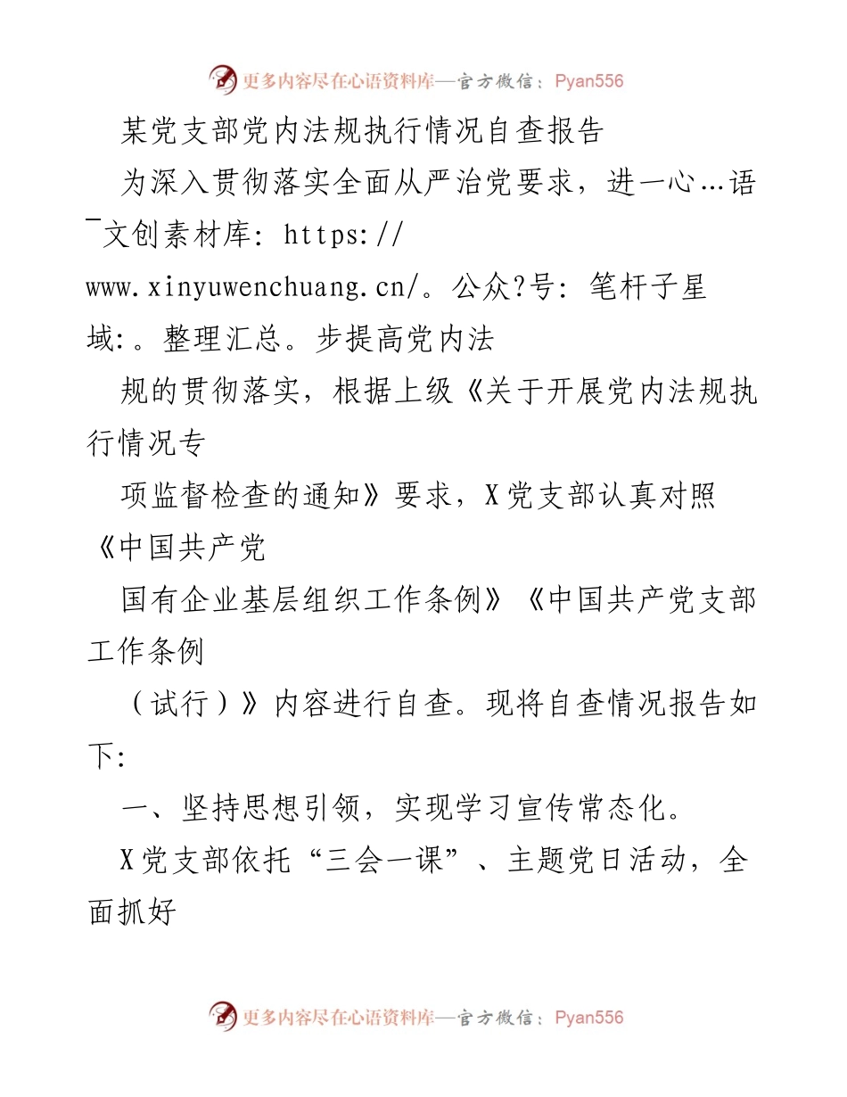 [发言] 党支部自查 - 某党支部党内法规执行情况自查报告.docx_第1页