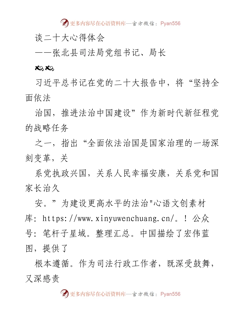 [发言] 党的二十大精神学习会 - 深入学习贯彻党的二十大精神，推动法治中国建设.docx_第1页