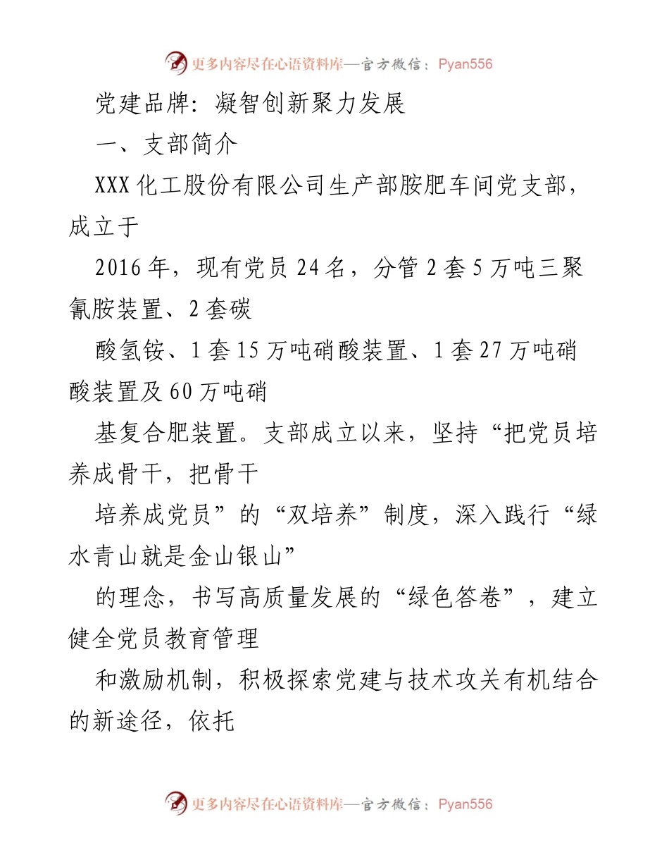 [发言] 党建活动 - 凝智创新聚力发展：胺肥车间党支部的党建品牌建设探索.docx_第1页