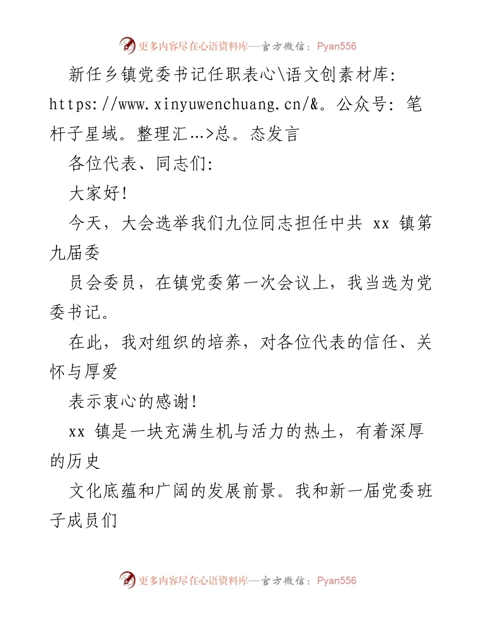 [发言] 党委书记任职大会 - 新任乡镇党委书记表态发言.docx_第1页