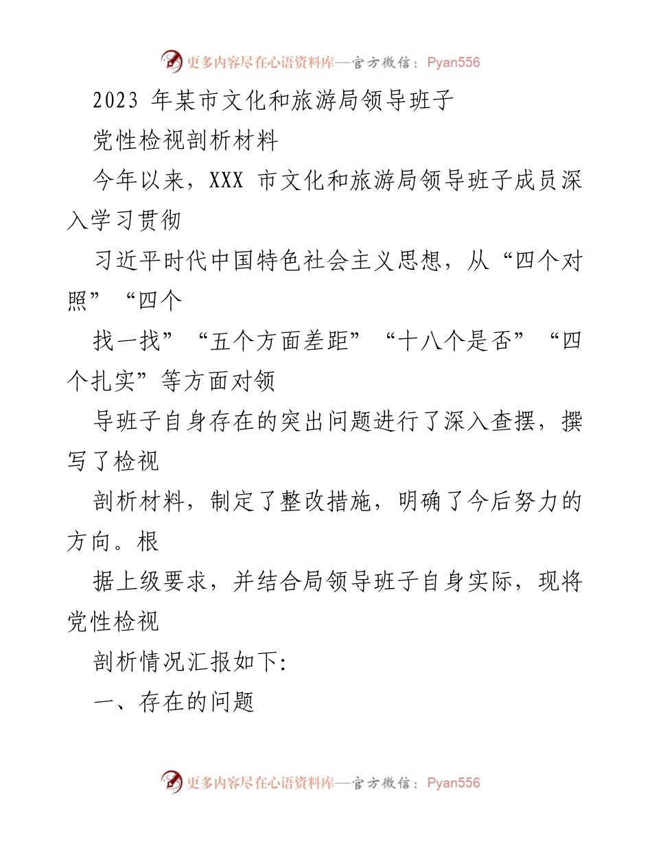 [发言] 党性检视会议 - 2023年某市文化和旅游局党性检视剖析情况汇报.docx_第1页