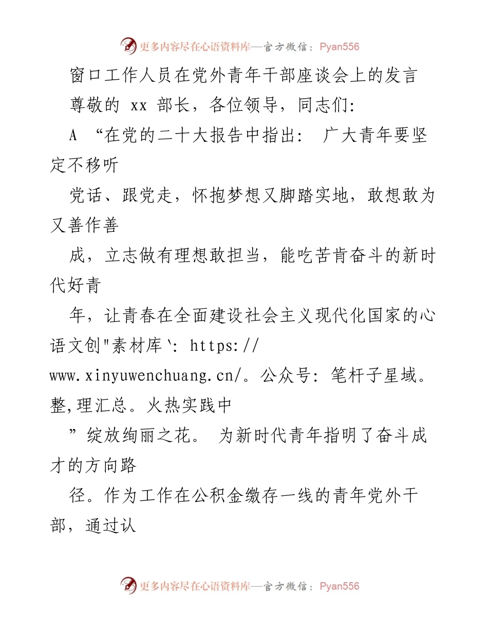 [发言] 党外青年干部座谈会 - 窗口工作人员在新时代青年奋斗中的角色与责任.docx_第1页
