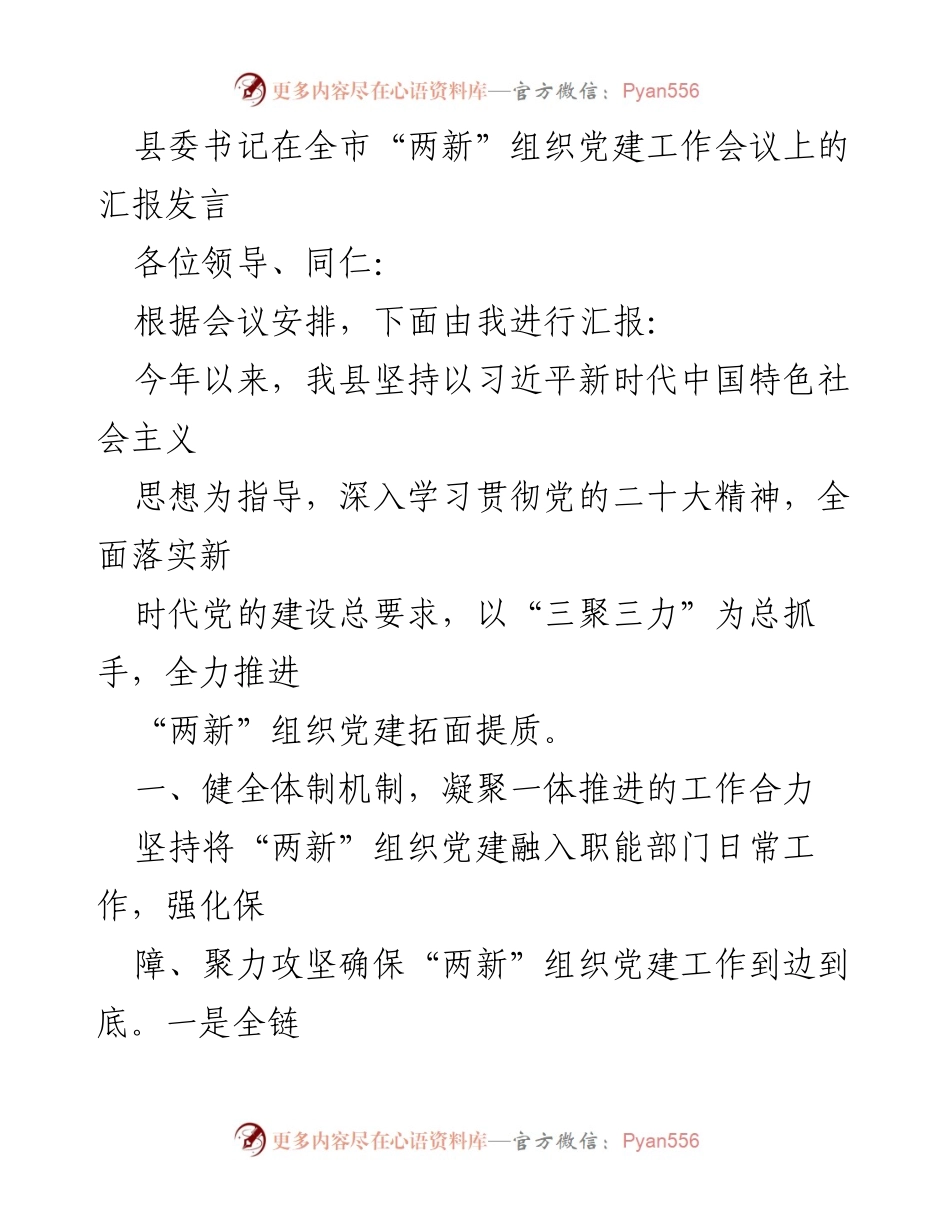[发言] 党建工作会议 - 推动“两新”组织党建工作的创新与实践.docx_第1页