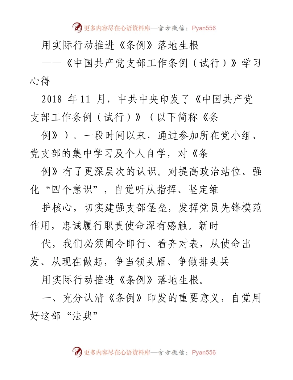 [发言] 党支部学习会 - 用实际行动推动《条例》落地生根.docx_第1页