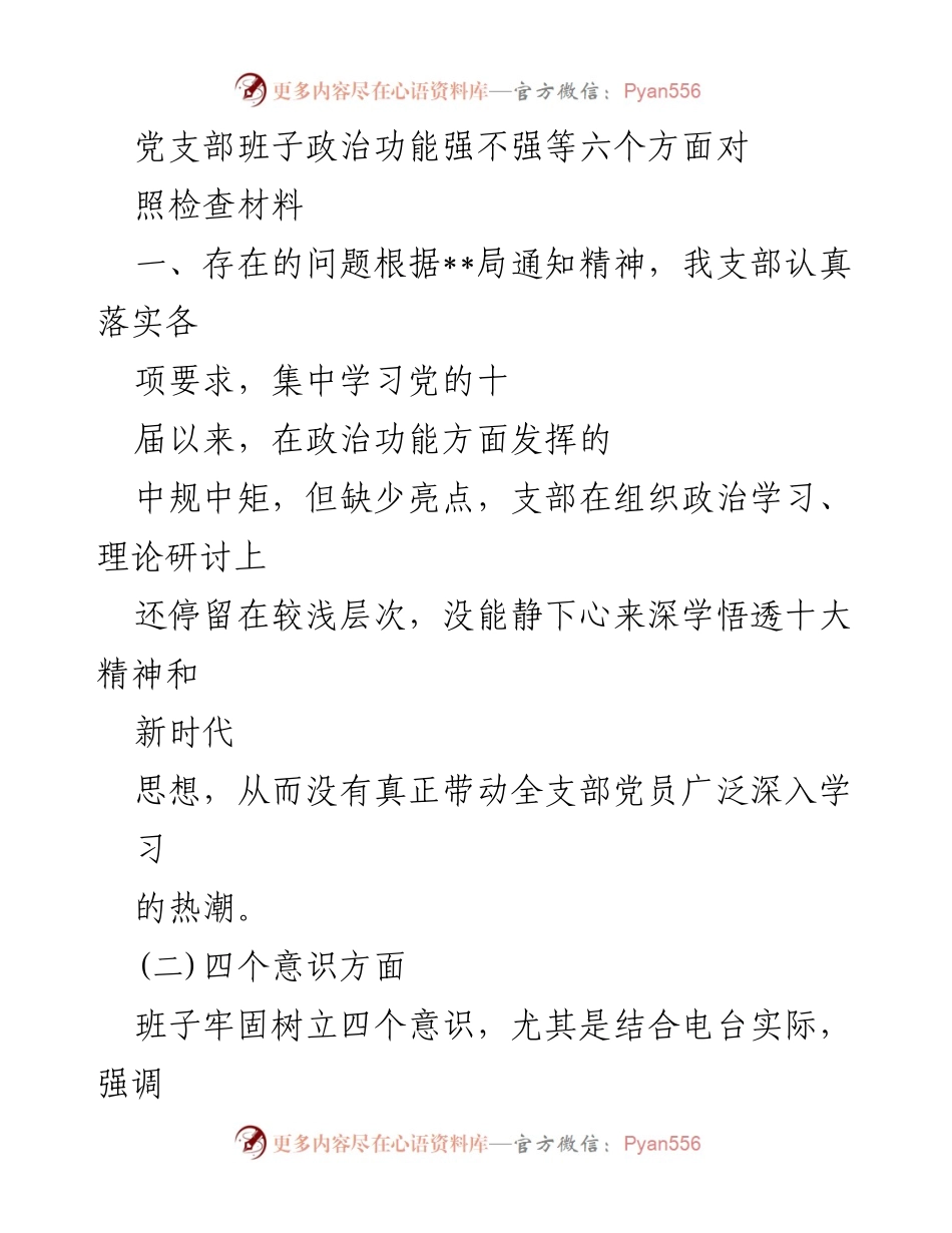 [发言] 党支部会议 - 党支部班子政治功能自查与改进建议.docx_第1页