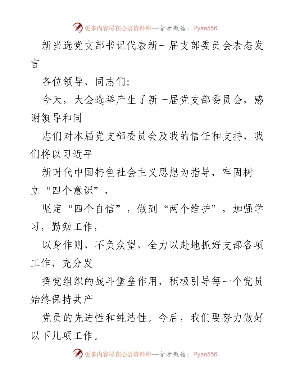 [发言] 党支部委员会选举 - 新当选党支部书记表态发言.docx_第1页