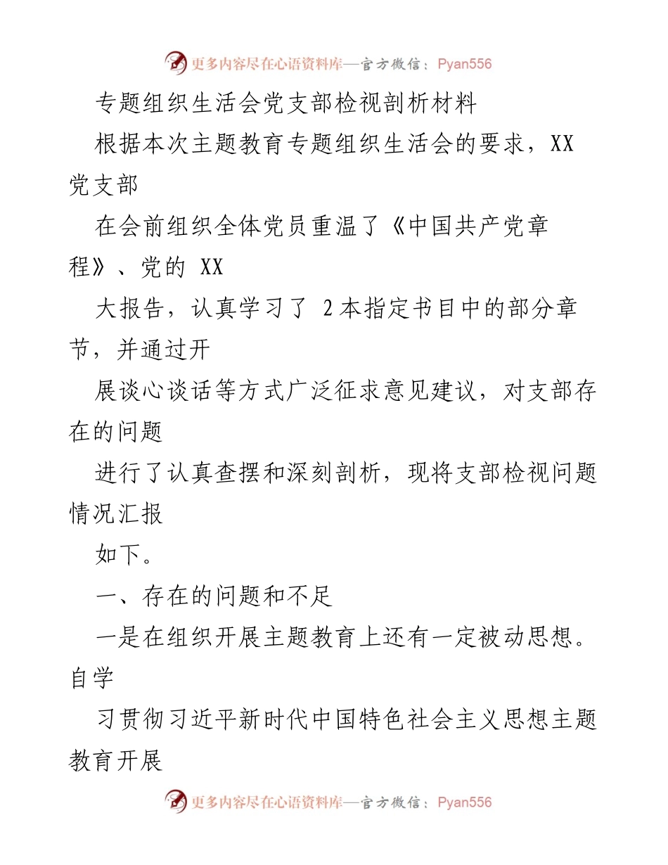 [发言] 党支部专题组织生活会 - XX党支部检视剖析材料及问题整改建议.docx_第1页