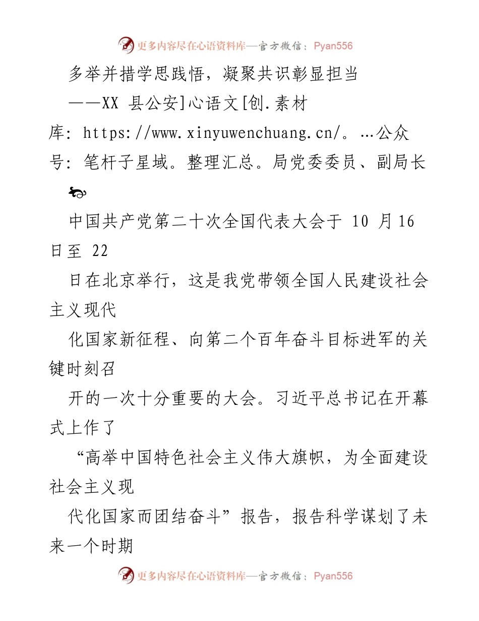 [发言] 党的二十大精神学习贯彻会议 - 深学细悟践行初心使命，勇于担当推动公安工作.docx_第1页