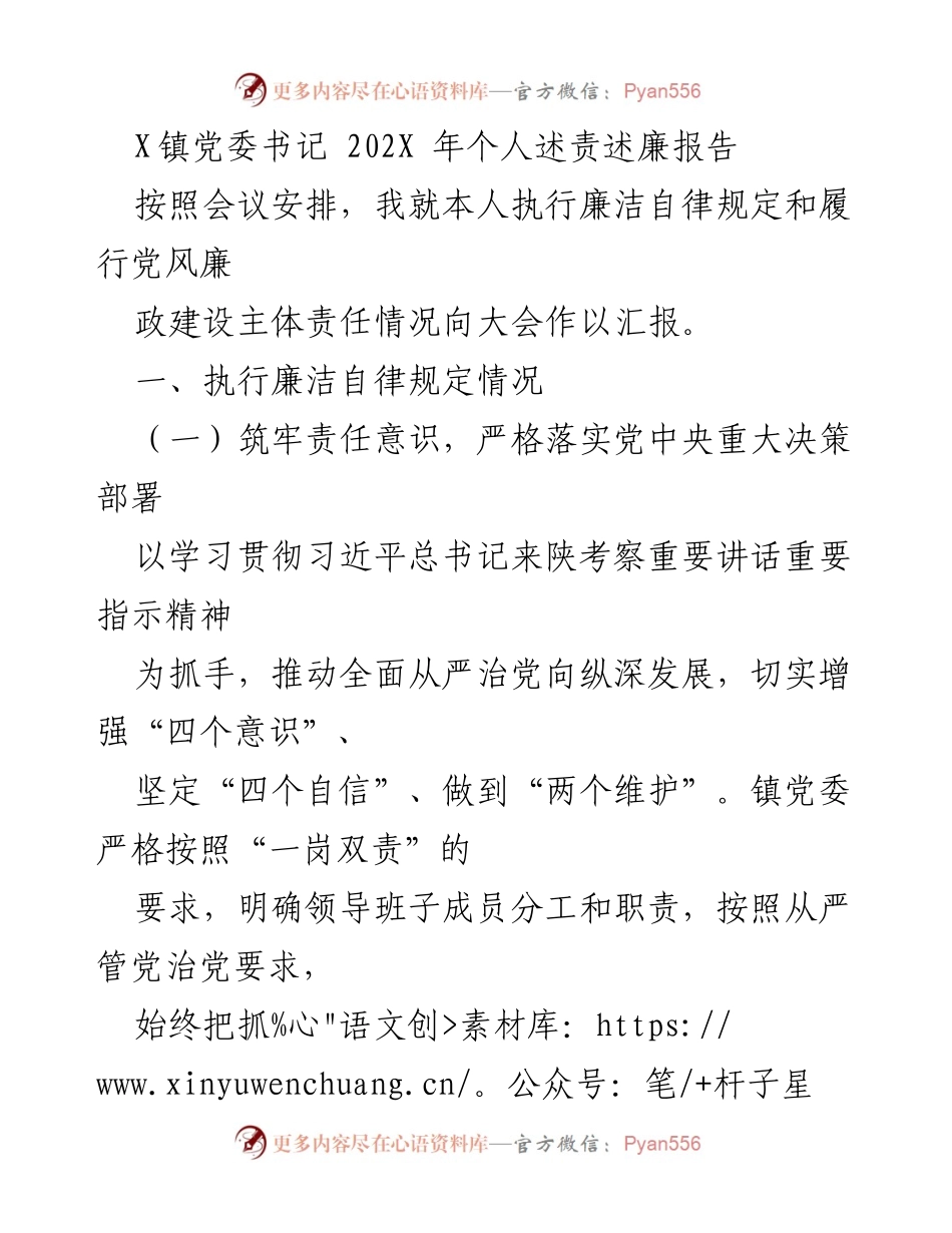 [发言] 党委会议 - X镇党委书记202X年个人述责述廉报告.docx_第1页
