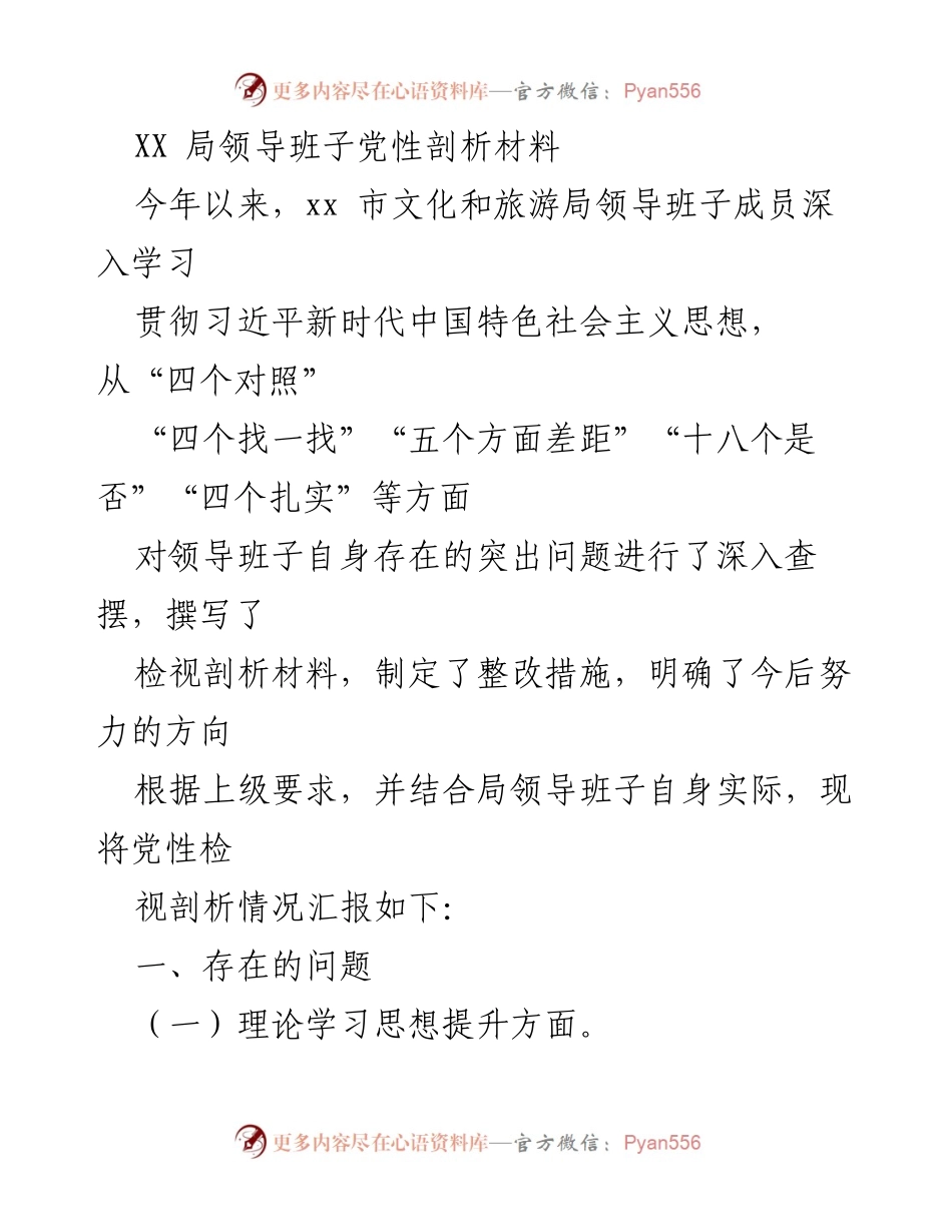 [发言] 党性教育会议 - XX局领导班子党性剖析与整改措施汇报.docx_第1页