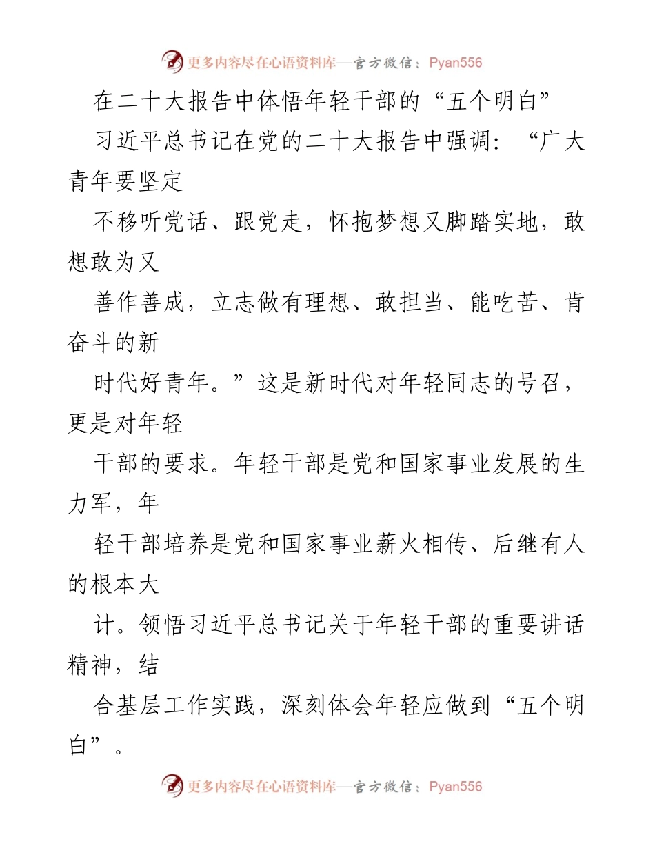 [发言] 党的二十大精神学习会 - 年轻干部应做到的“五个明白”.docx_第1页