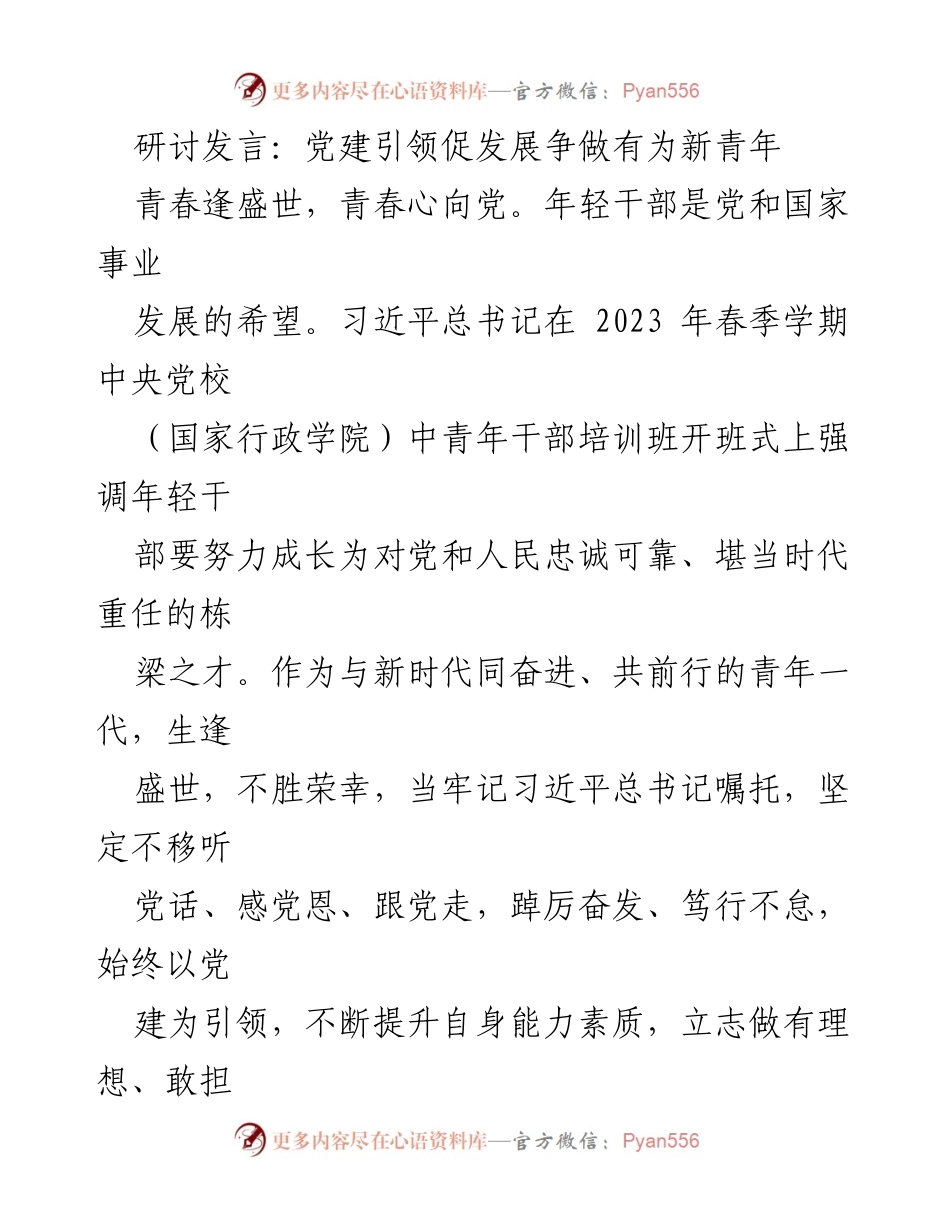 [发言] 党建研讨会 - 党建引领新青年成长之路.docx_第1页