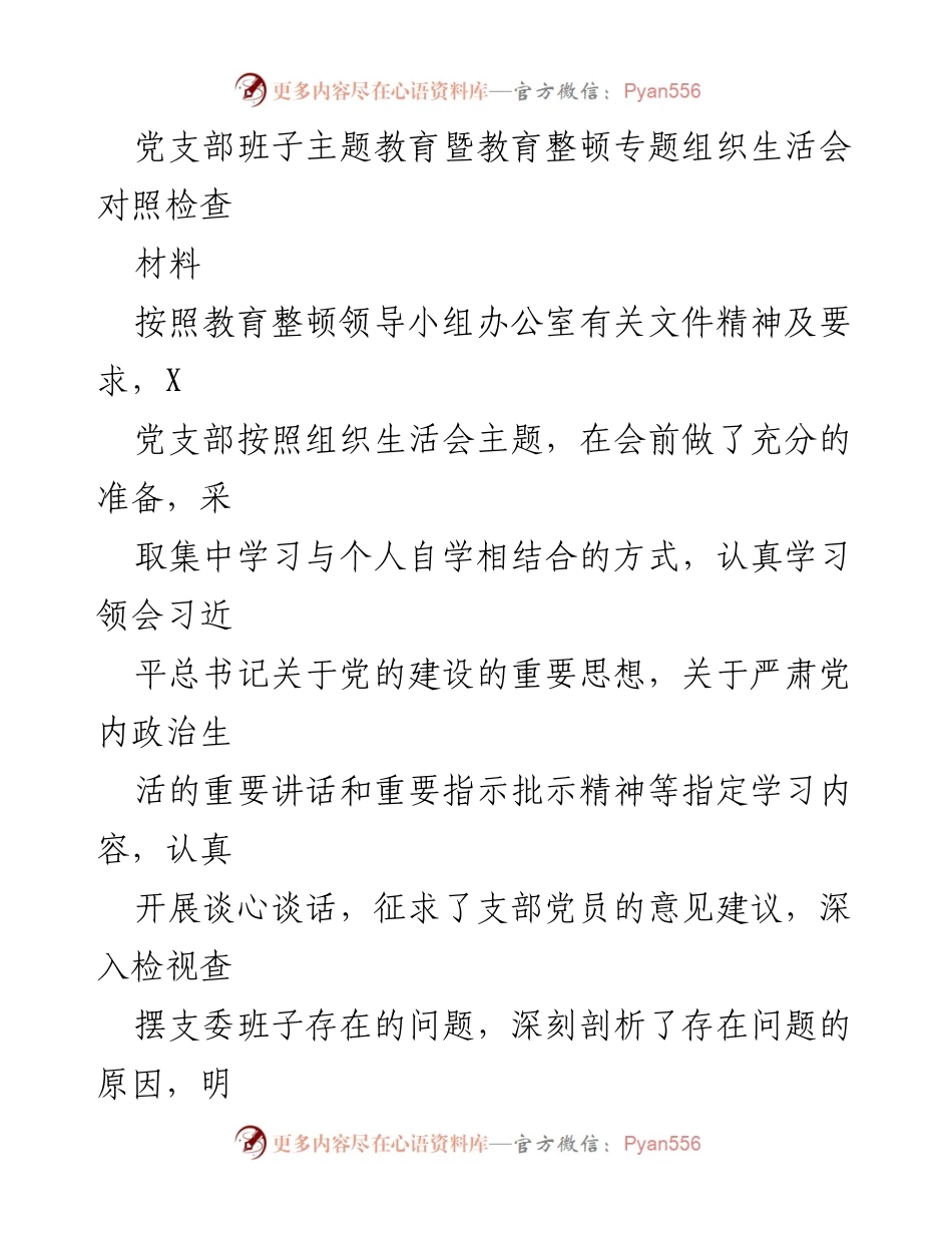 [发言] 党支部主题教育会议 - 党支部班子对照检查报告.docx_第1页
