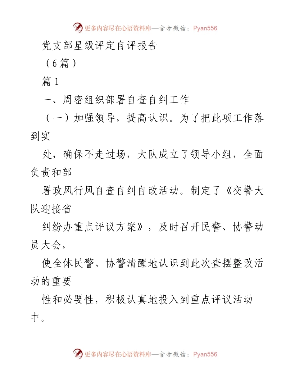 [发言] 党支部星级评定 - 交通管理队伍自评与整改报告.docx_第1页