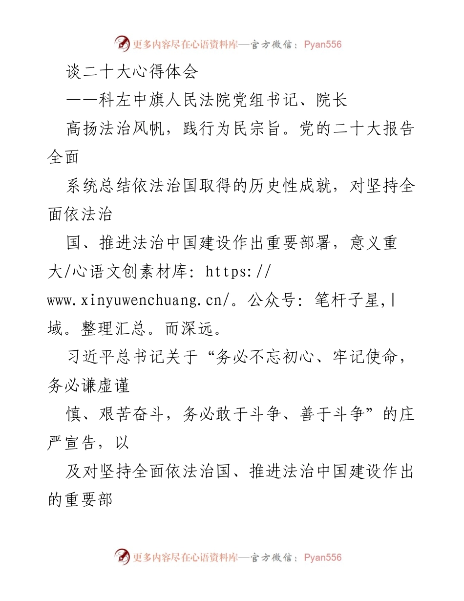 [发言] 党的二十大学习体会 - 高扬法治风帆，践行为民宗旨：人民法院的使命与担当.docx_第1页