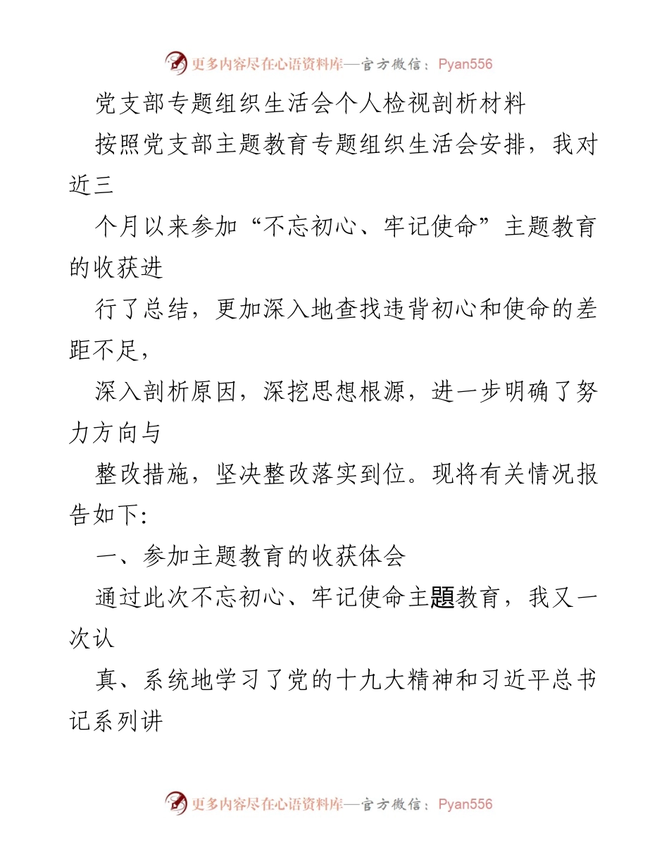 [发言] 党支部专题组织生活会 - 个人检视剖析与整改措施总结.docx_第1页