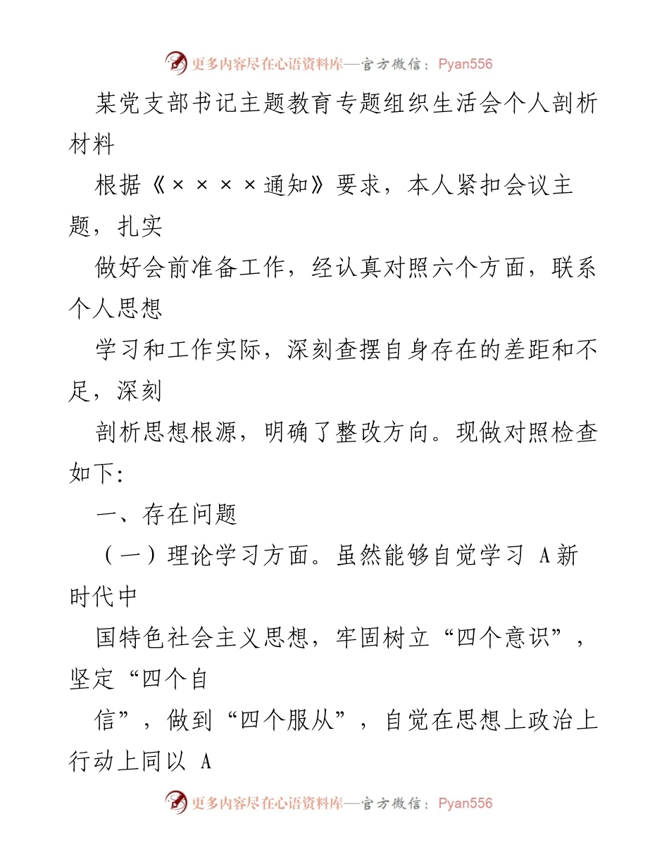 [发言] 党支部书记主题教育专题组织生活会 - 个人剖析与整改方向总结_1.docx_第1页