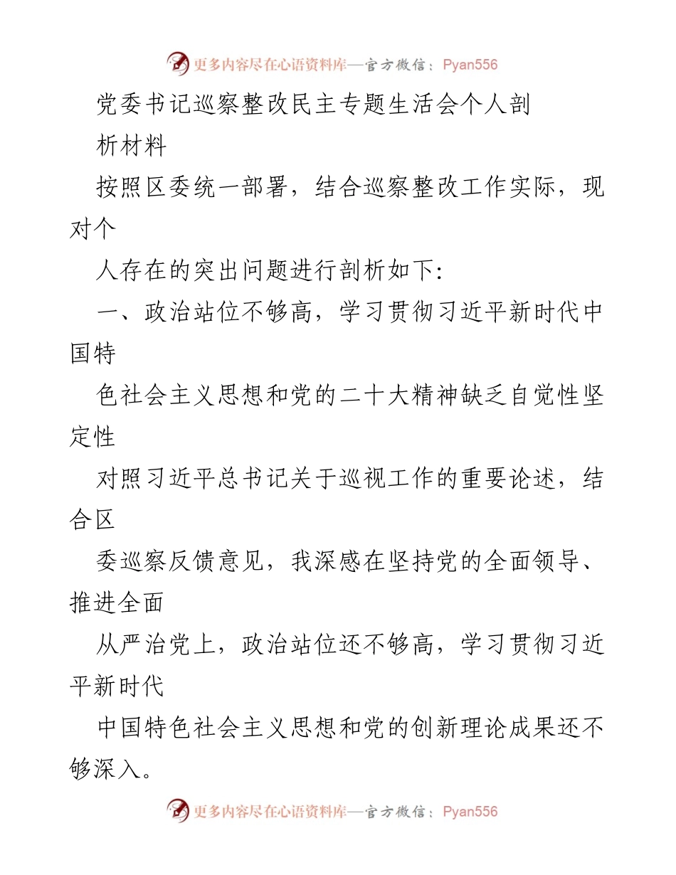 [发言] 党委书记巡察整改民主专题生活会 - 个人剖析材料及整改措施分析.docx_第1页