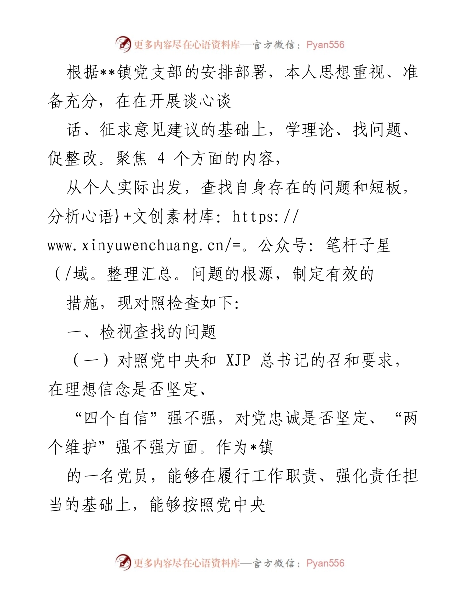 [发言] 党支部会议 - 党员自我检视与整改措施报告.docx_第1页