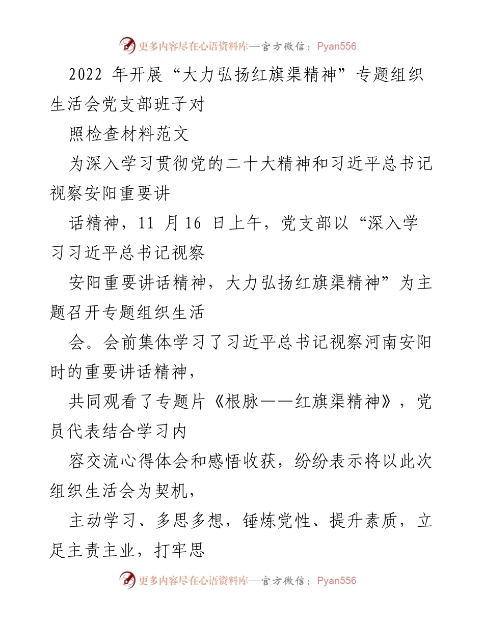 [发言] 党支部专题组织生活会 - 深入学习红旗渠精神，提升党员理论素养与服务能力.docx_第1页