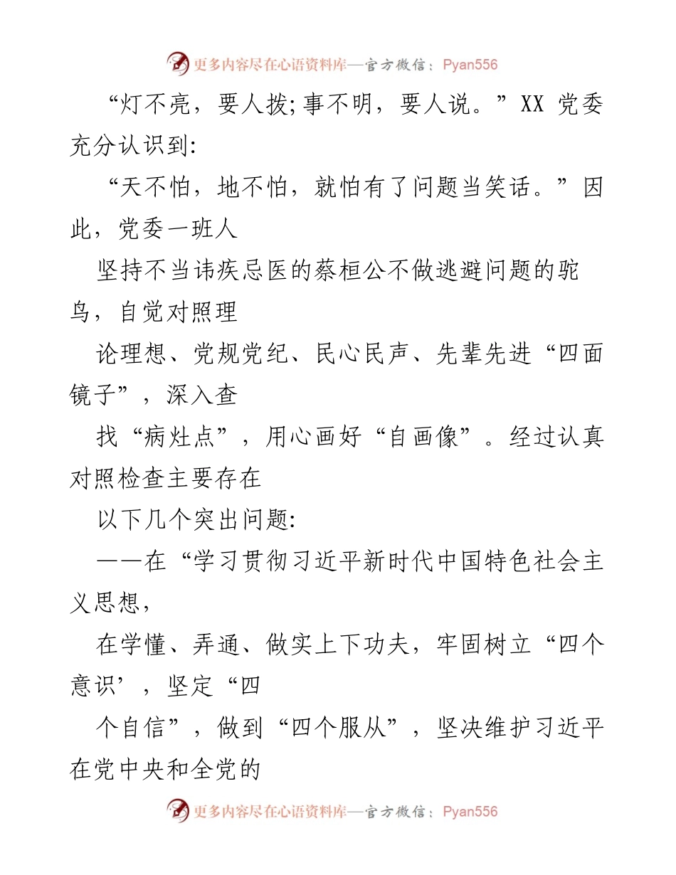 [发言] 党委会议 - 深入查找问题，提升学习贯彻习近平新时代中国特色社会主义思想的实效性.docx_第1页