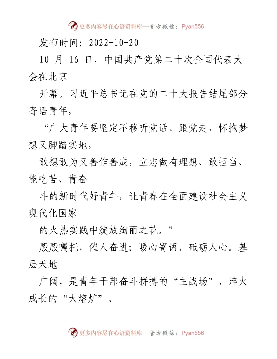 [发言] 党的二十大 - 青年干部在基层绽放青春之花.docx_第1页