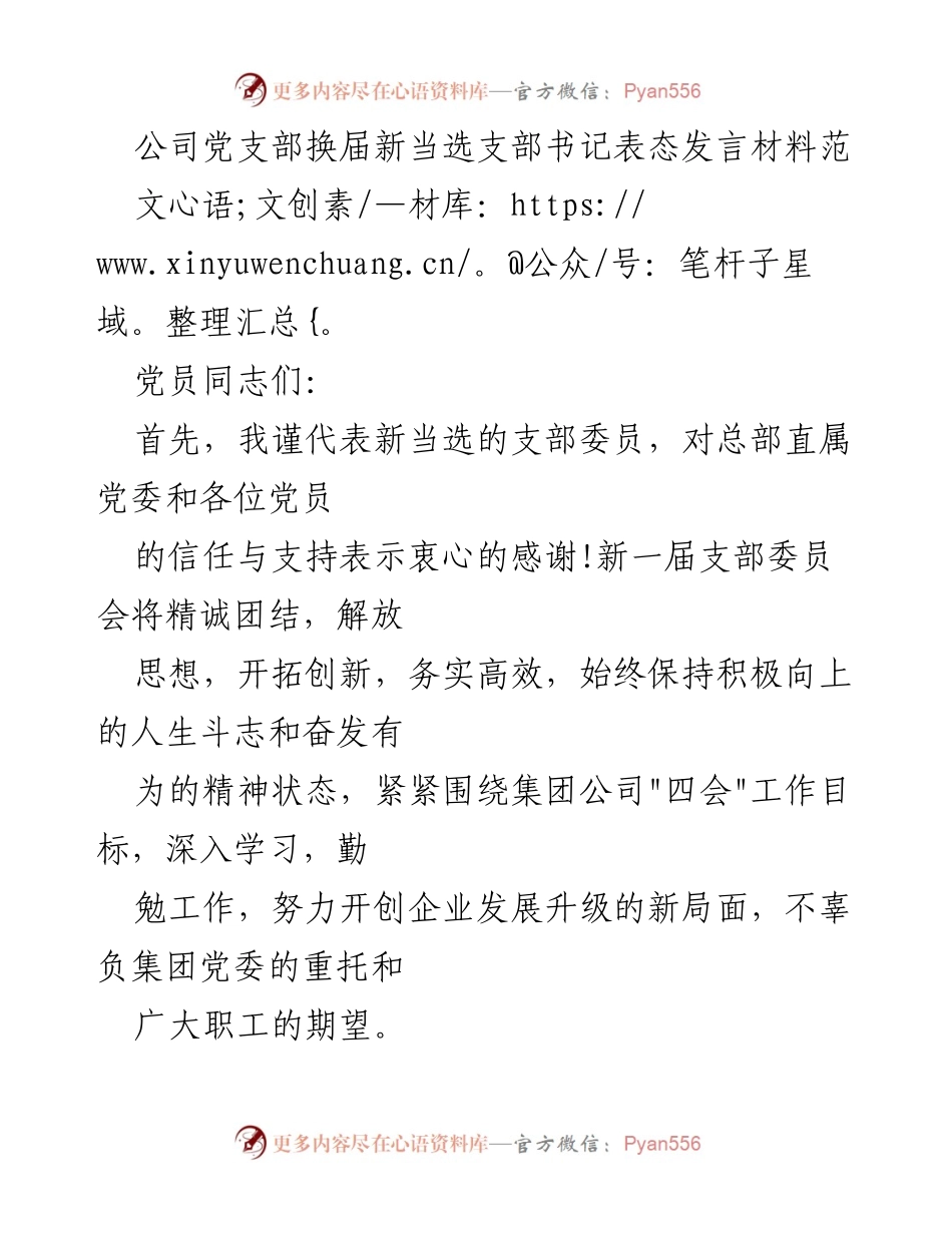 [发言] 党支部换届 - 新当选支部书记表态发言材料.docx_第1页
