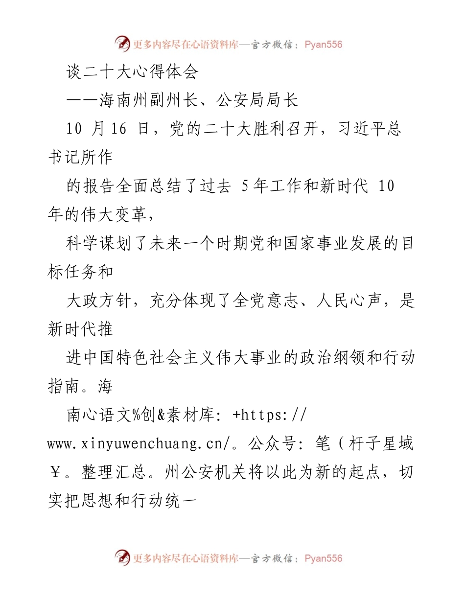 [发言] 党的二十大总结 - 坚定不移推进公安工作，护航海南高质量发展.docx_第1页