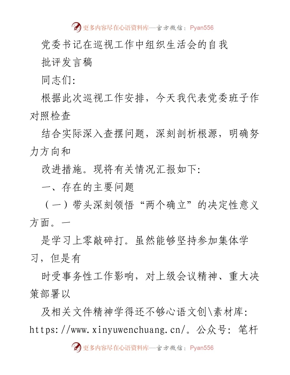 [发言] 党委巡视工作 - 党委书记巡视工作自我批评发言稿.docx_第1页