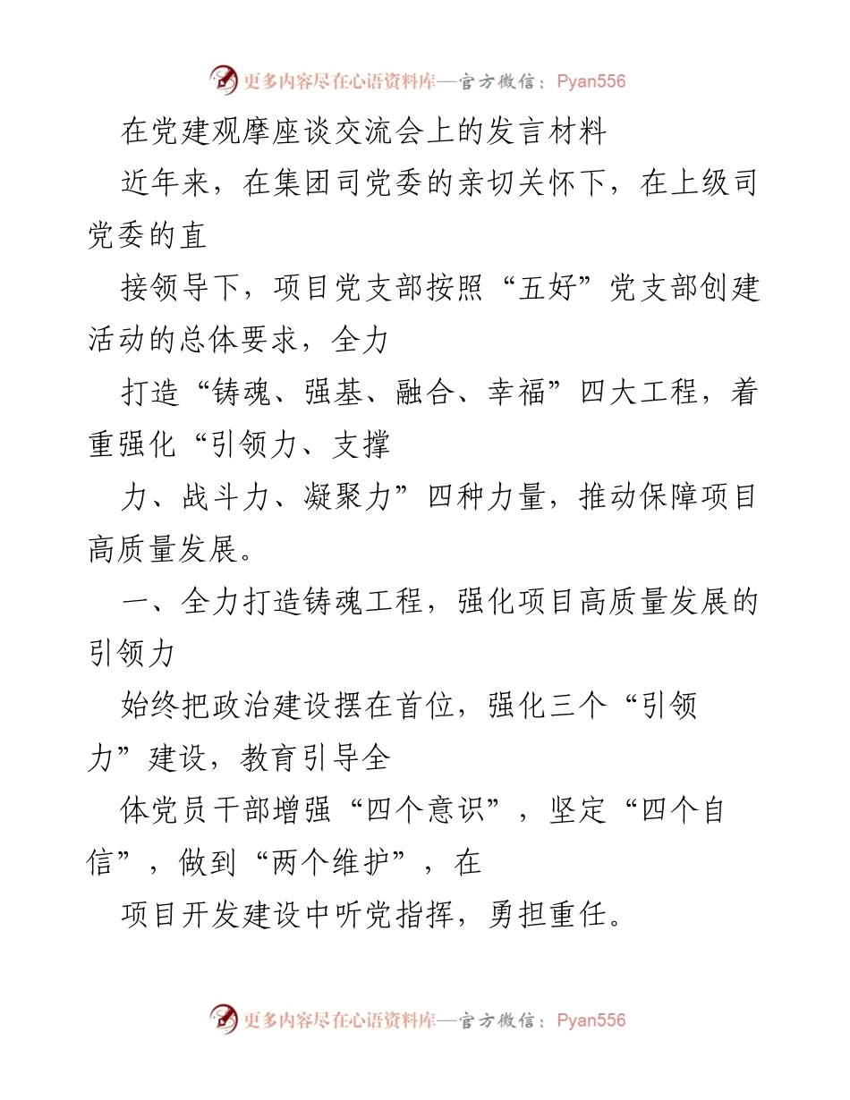 [发言] 党建观摩座谈交流会 - 强化引领力与支撑力，推动项目高质量发展.docx_第1页