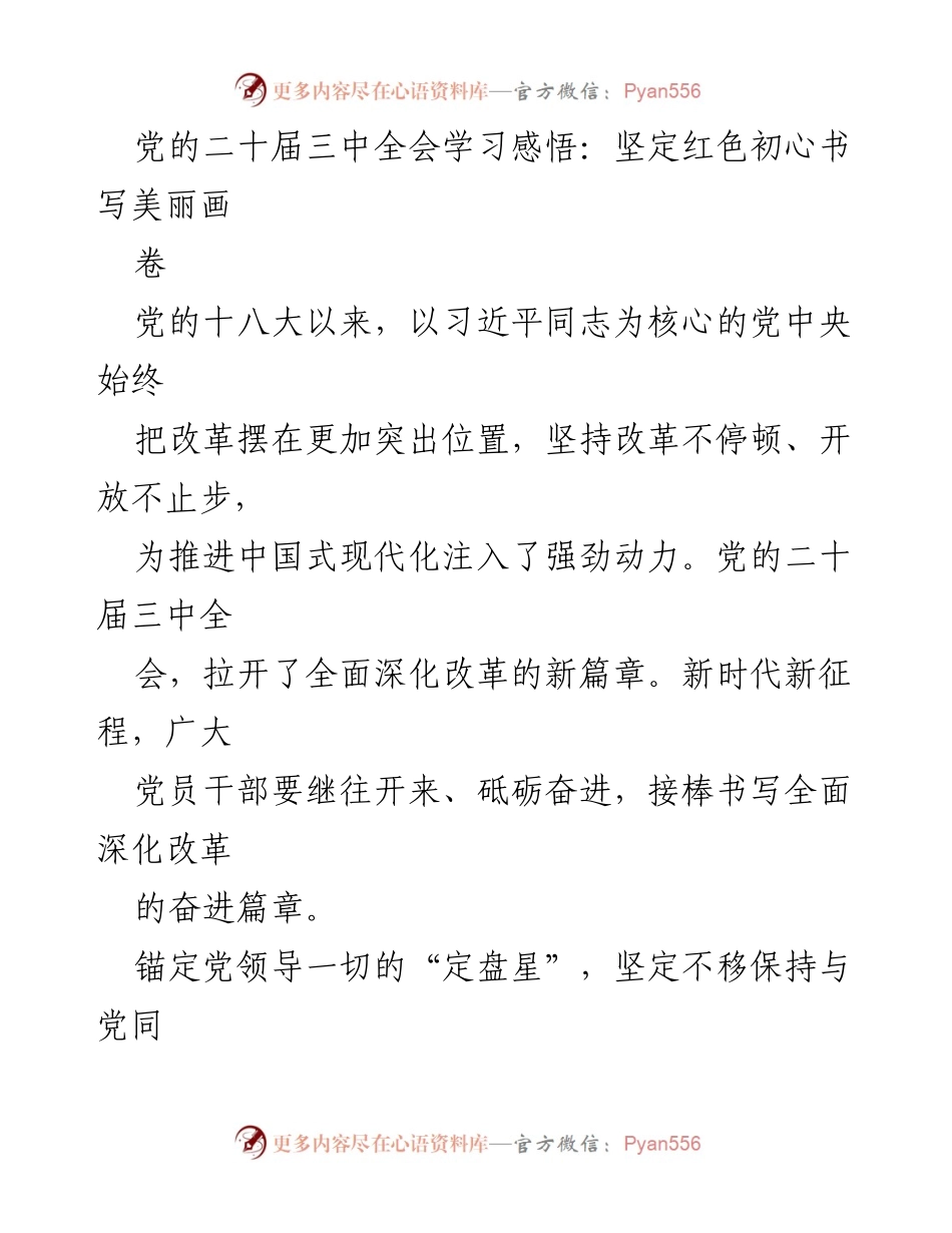 [发言] 党的二十届三中全会学习会 - 坚定红色初心，书写全面深化改革的新篇章.docx_第1页