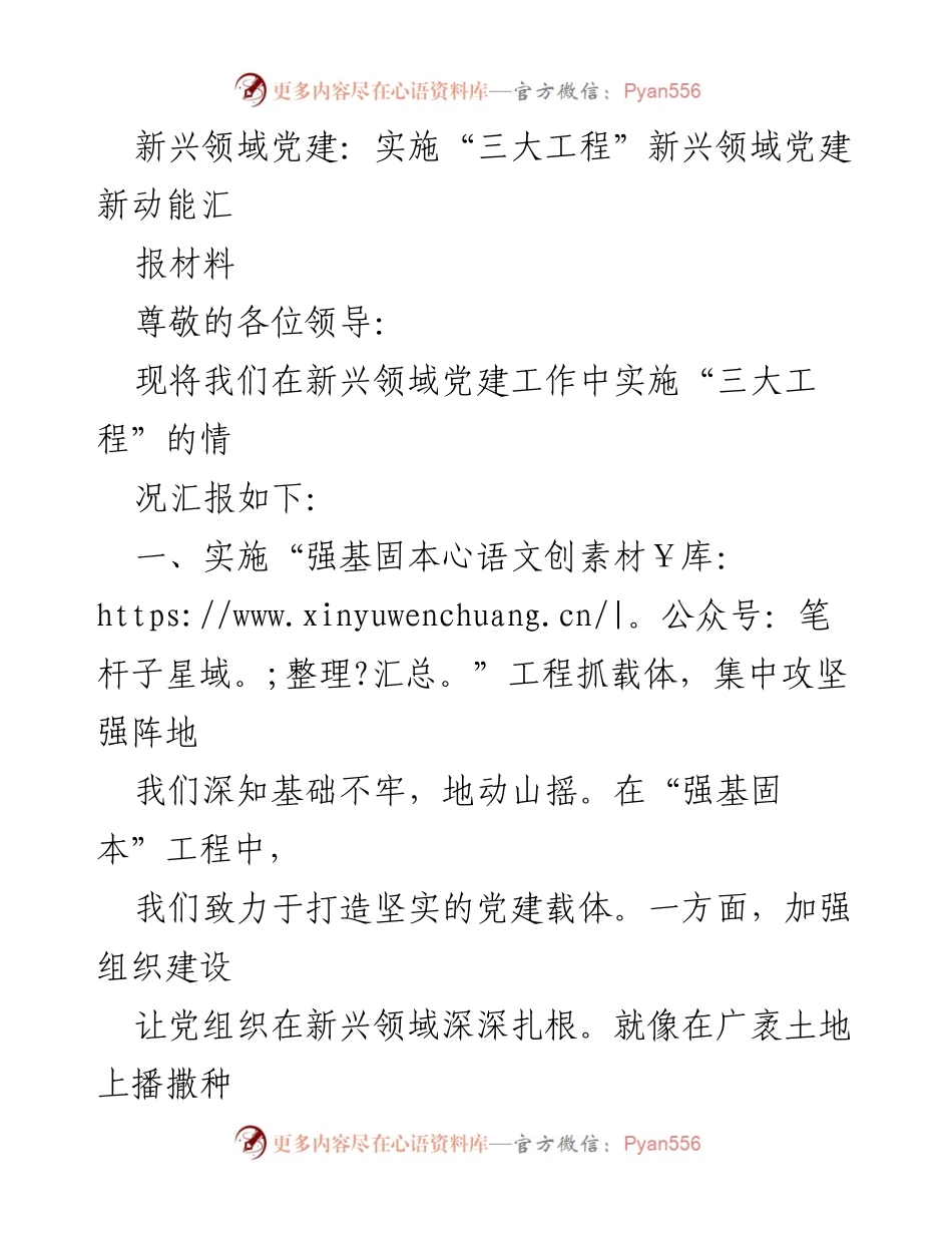 [发言] 党建工作汇报 - 新兴领域党建“三大工程”实施情况汇报_1.docx_第1页