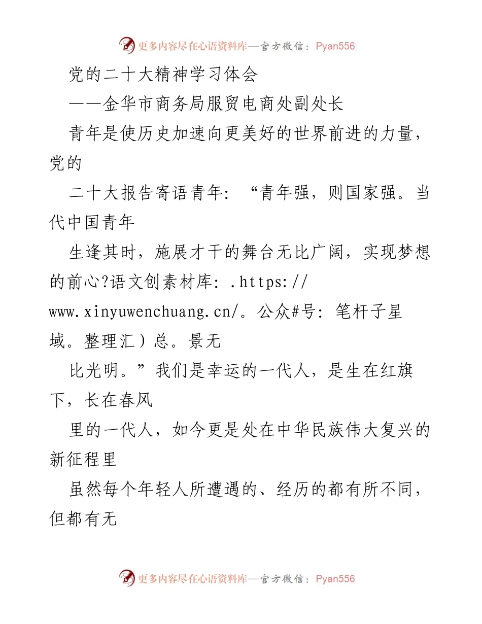 [发言] 党的二十大精神学习会 - 青年干部的责任与使命：在新时代的奋斗中绽放青春.docx_第1页