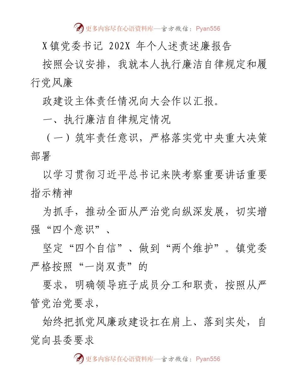 [发言] 党委会议 - X镇党委书记202X年个人述责述廉报告_1.docx_第1页