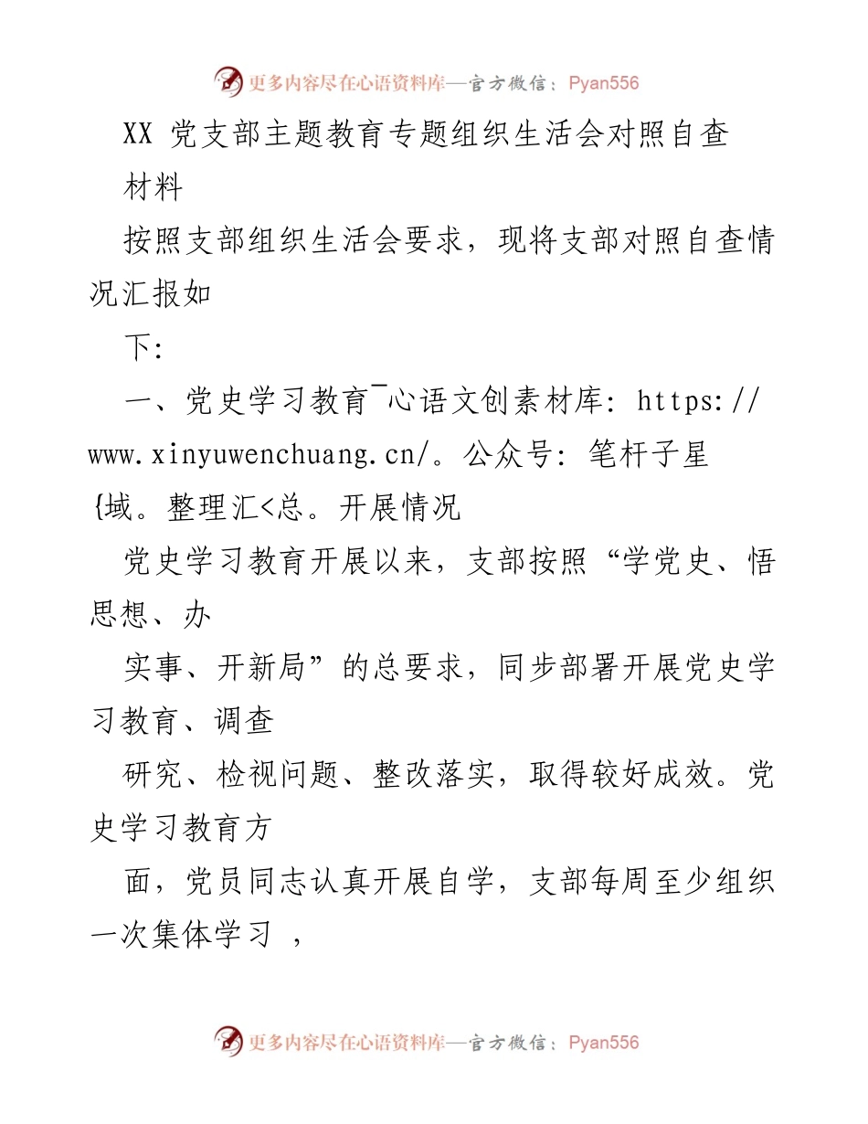 [发言] 党支部主题教育专题组织生活会 - XX党支部对照自查汇报及问题剖析.docx_第1页