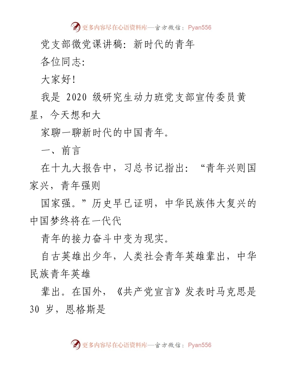 [发言] 党支部微党课 - 新时代青年：责任与机遇的接力奋斗.docx_第1页