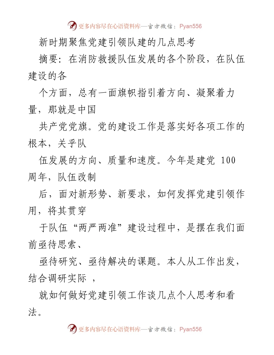 [发言] 党建工作会议 - 新时期党建引领队建的思考与实践.docx_第1页