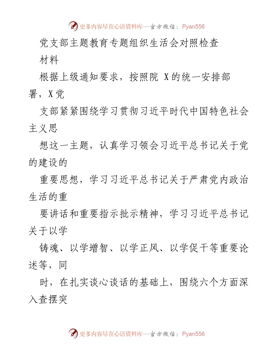 [发言] 党支部主题教育专题组织生活会 - 党支部对照检查与问题剖析报告.docx_第1页